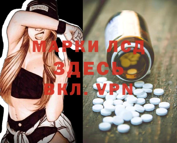 apvp Алзамай