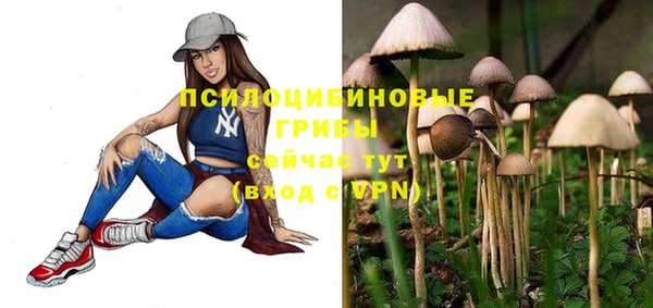 apvp Алзамай