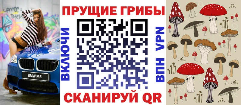 купить наркотик  Йошкар-Ола  Псилоцибиновые грибы MAGIC MUSHROOMS 
